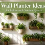 Various wall planters with different plants arranged aesthetically.
